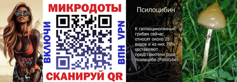 Галлюциногенные грибы мицелий  кракен ONION  Облучье 