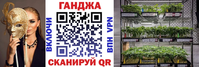 Конопля VHQ  мега маркетплейс  Облучье  darknet телеграм  сколько стоит 